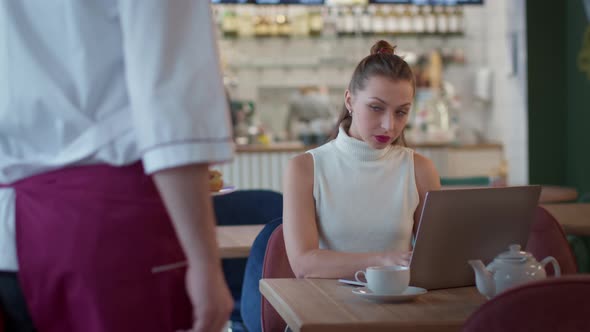 Attractive Longhaired Girl Works with Laptop in Cafe Waiter Brings Her Cake