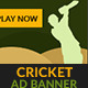 Crazy Cricket Play Sport GWD HTML5 Ad Banner - CodeCanyon Item for Sale