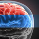Journey Into The Male Brain - VideoHive Item for Sale