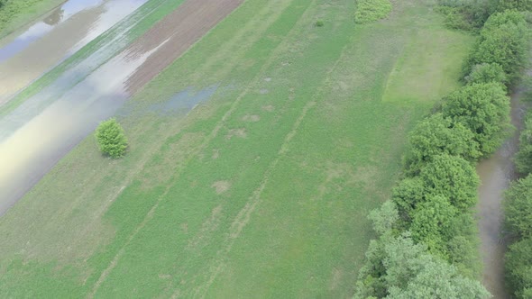 Agricultural land with sowed cereals under flood 4K aerial footage