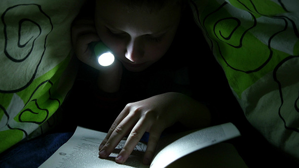 Boy Reading Book In Bedroom With Flashlight