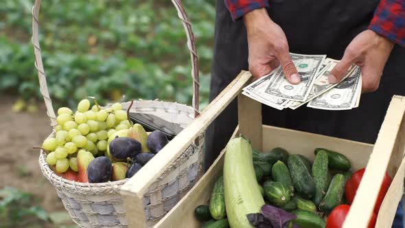 The Farmer Considers the Earned Money