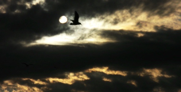 Angry Birds In Dramatic Sky