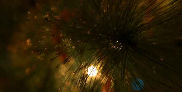 Christmas Lights Bokeh 2 alt