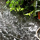 Raining in the Backyard 2 - VideoHive Item for Sale