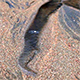 Small Stream Disappears in the Sand 2 - VideoHive Item for Sale