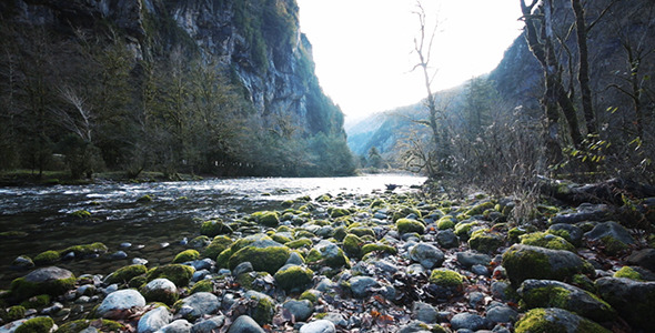 Mountain River in Gorge 6