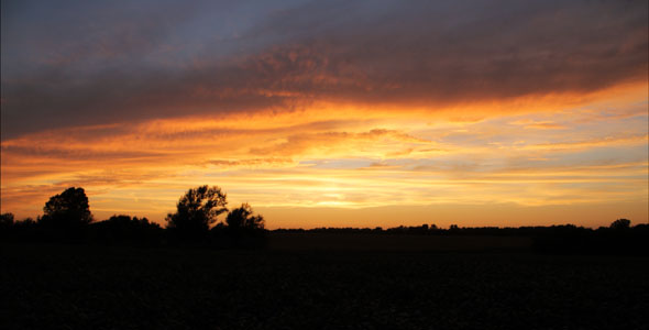 August Sunset