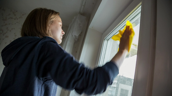 Young Women Cleaning a Window alt
