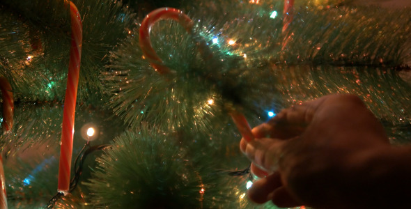 Christmas Tree Decorating alt