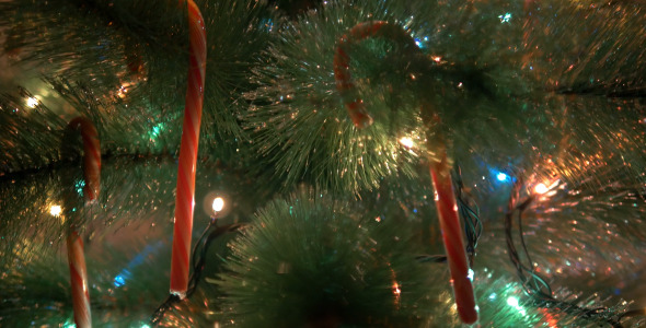 Christmas Tree Vertical