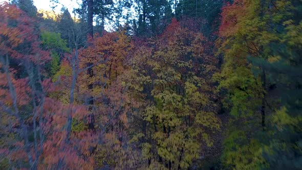 Cinematic rising drone shot of Mount Lemmon Arizona