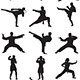 Martial Art Silhouettes - GraphicRiver Item for Sale