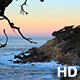 Cliffs at Pebble Beach Framed by Branches - VideoHive Item for Sale