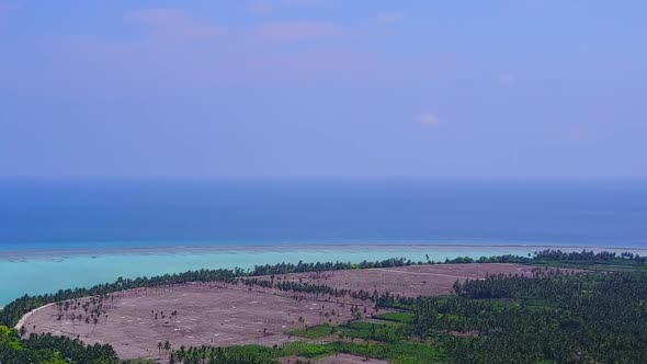 Aerial drone abstract of coast beach wildlife by clear sea and sand background