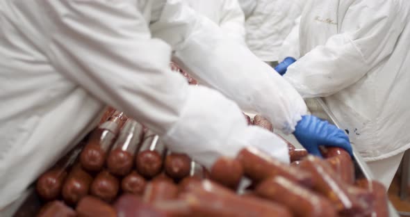 Meat Production, Woman Workers in Protective Uniforms Pack and Stack Raw Smoked Sausages, Food