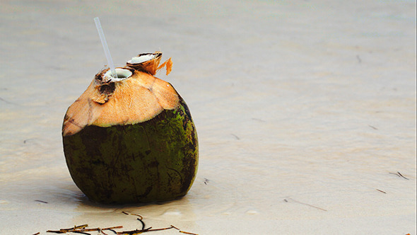 Coconut By The Sea With Female Hand Putting Straw