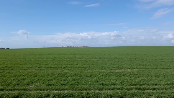 Field At Sdot Negev Israel Community