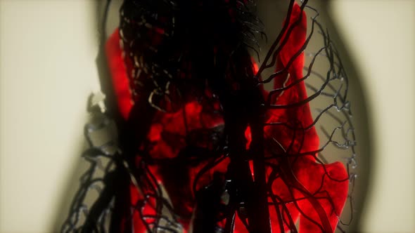 Human Skeleton Bones Scan Glowing alt