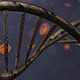 DNA Background - VideoHive Item for Sale