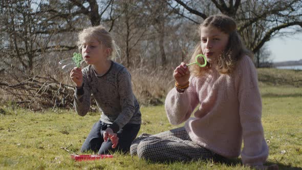 Brother And Sister Kneeling In Sunlit Field And Blowing Bubbles