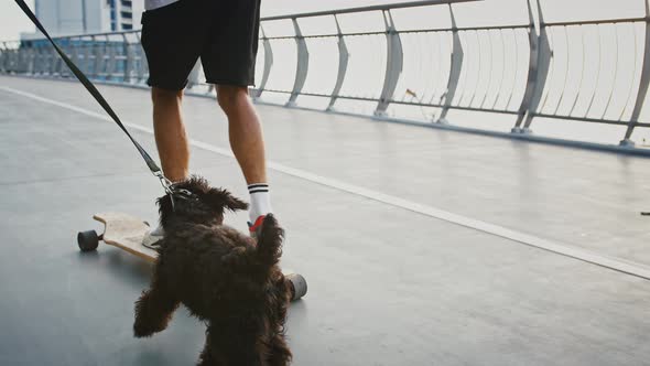 Close Up of Man Riding Skateboard and Walking His Dog Slow Motion