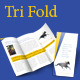 Tri-fold Brochure [Print ready] - GraphicRiver Item for Sale