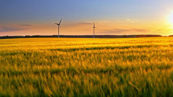 Golden field and wind turbines at sunset, aerial view, Poland