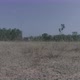 4K Drone Indian Grass Level Footage - VideoHive Item for Sale