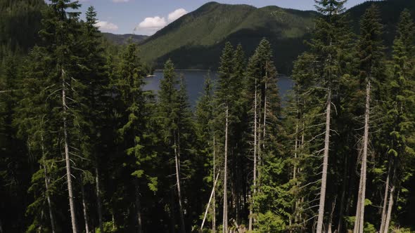 Aerial dolly in flying over pine tree forest revealing deep lake and mountains in background, Britis