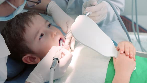 Woman Dentist Examines Baby Teeth of Little Boy Patient in Clinic