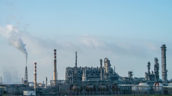 Petrochemical plant