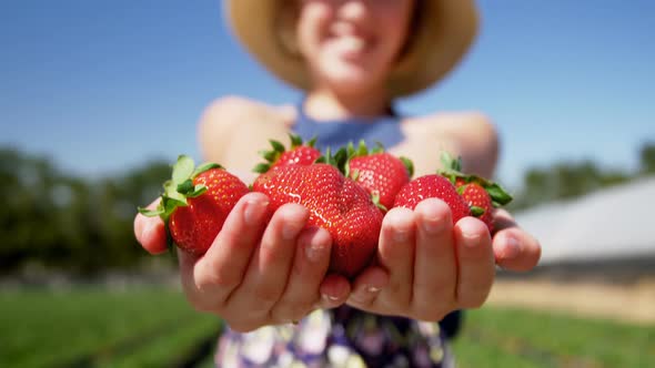 Girl holding strawberries in the farm 4k