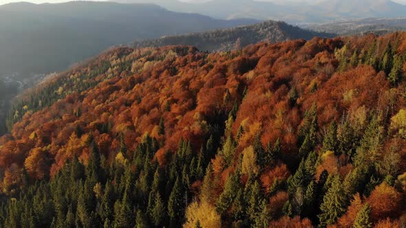 Aerial view of beautiful autumn forest 4k