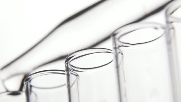 Laboratory Test. Pipette Drips Transparent Chemicals Into Test Tubes in a Row on White Background