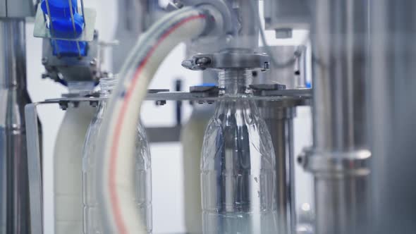 Automated technology of bottling milk in robotic factory