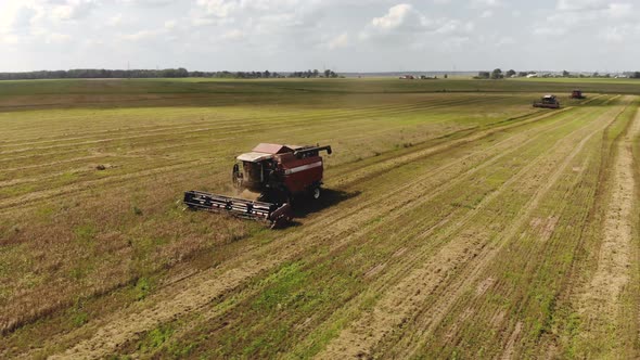 Four Combine Harvesters Cut Ripe Dry Oats in Summer in Hot Sunny Weather