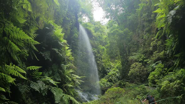 Los Tilos (La Palma)- Lonely man goes up the river to the falls