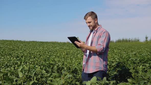 A Young Farmer Makes Notes in a Tablet About the Peculiarities of Soybean Growth in the Field