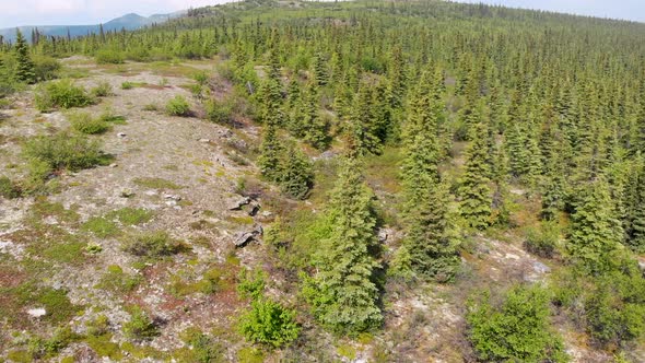 4K Drone Video of Rocky Cliffs of Wickersham Dome in the White Mountains of Alaska on Sunny Summer D