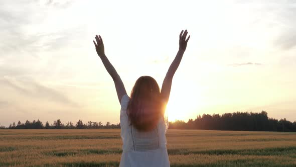 Woman Raises Her Hands Up From Success Background Of Sunset Near Field Of Grain