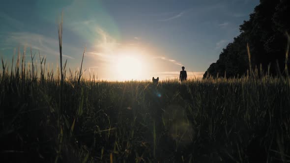 Girl Walks with Puppy at Sundown