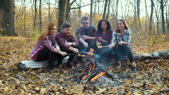 Multiethnic Friends Roasting Sausages in Camping