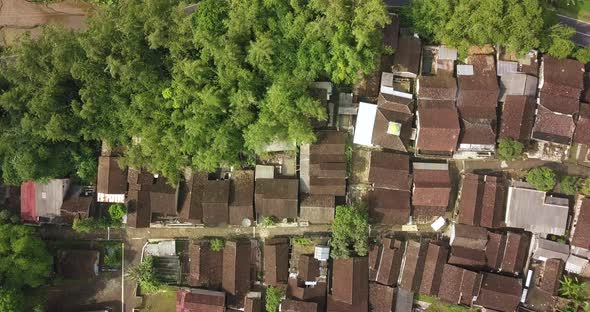 Aerial view of housing and Rice terraces which are divided by road taken from drone camera. Flight o