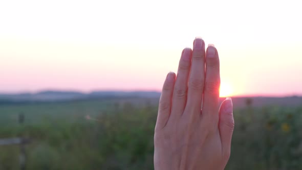 Happy Man with Dreamily Stretches Out His Hand to the Sun