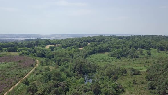 Aerial fly over of a forest water hole outside Budleigh Salterton in Devon, UK