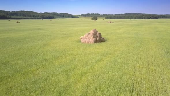 Drone Rises Above Single Hayrick Stacked on Field By Forest