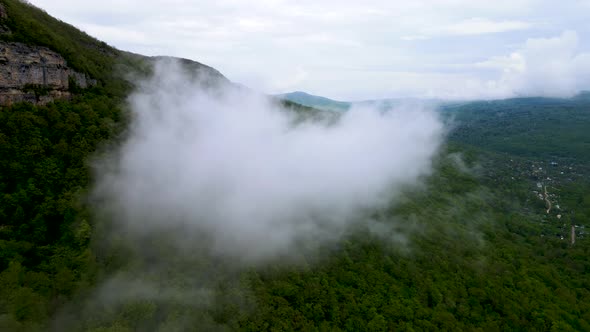 Through the clouds in the mountain forest