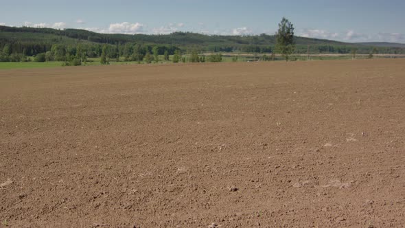 2 MONTH TIMELAPSE PAN R2L from dry soil to lush green pea and oat crops