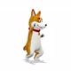 Funny Dance With Corgi Dog on White Background - VideoHive Item for Sale